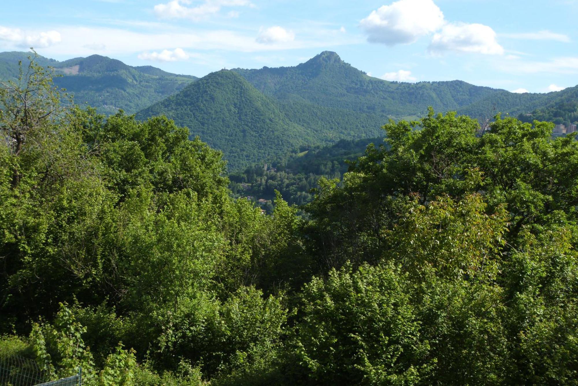 Giardino Tra I Laghi Bed & Breakfast ซาน เฟเดเล อินเตลวี ภายนอก รูปภาพ
