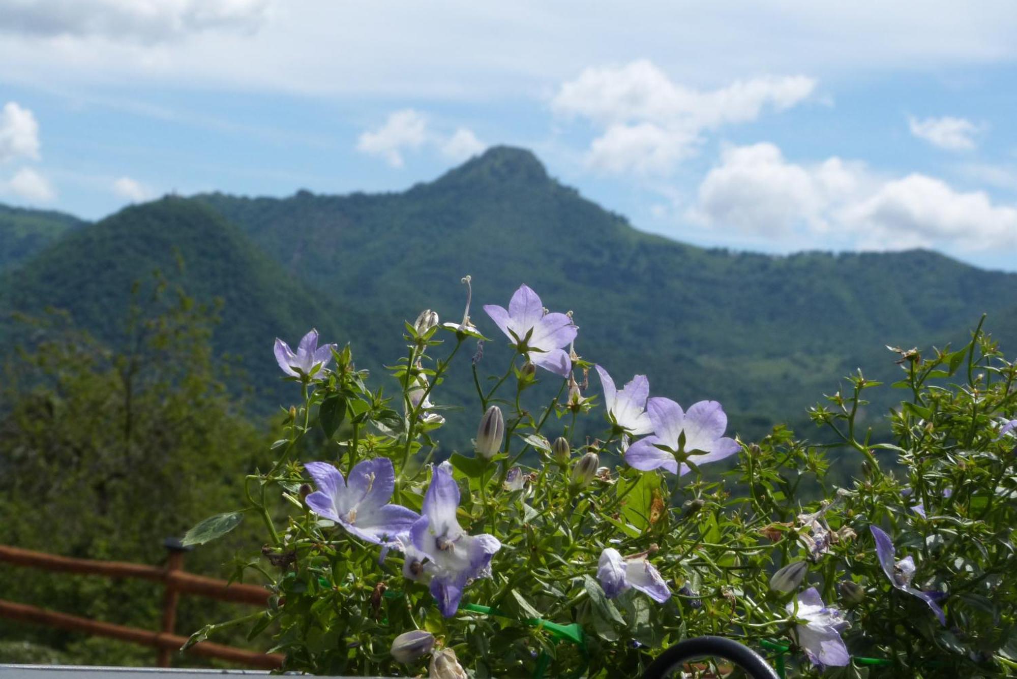 Giardino Tra I Laghi Bed & Breakfast ซาน เฟเดเล อินเตลวี ภายนอก รูปภาพ
